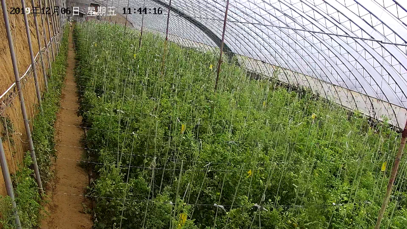 草莓園視頻監控安裝